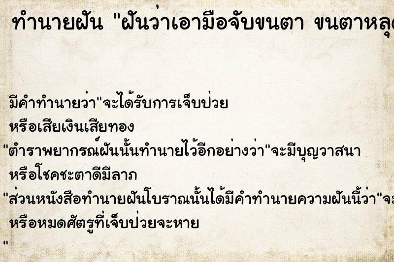 ทำนายฝันฝันว่าเอามือจับขนตาขนตาหลุดติดมือมาเยอะมาก ทำนายฝันทำนายฝันฝันว่าเอามือจับขนตาขนตาหลุดติดมือมาเยอะมาก